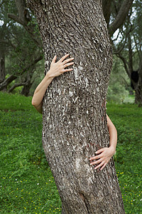 抱着树的年轻女子的手臂图片