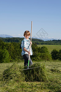男孩在草地上耙草坪图片