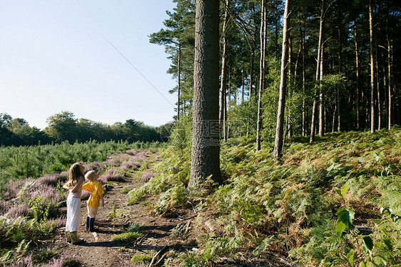 小男孩和小女孩在森林里玩耍图片