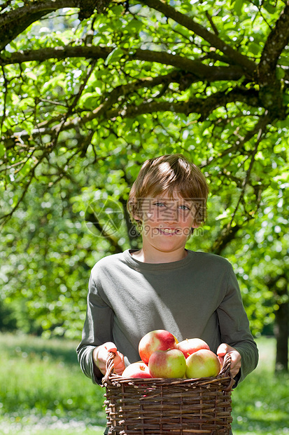 提苹果篮的男孩图片