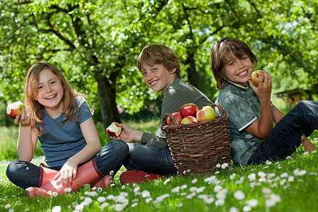 孩子们在草地上吃苹果图片
