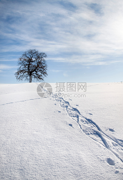 雪中的雪鞋痕迹图片