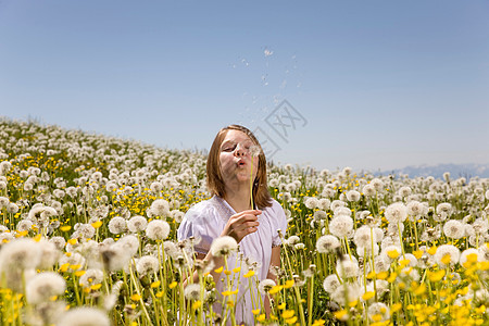 在草地上吹蒲公英种子的女孩图片