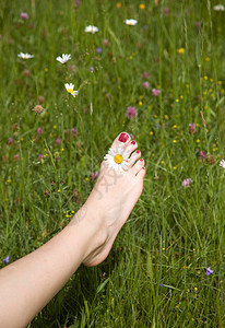 花丛中女人的脚图片