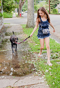 女孩在水坑里遛狗图片