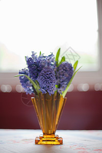 花瓶里的花和英国的花园图片