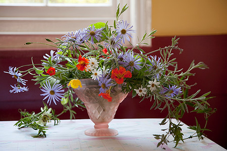 花瓶里的花和英国的花园图片