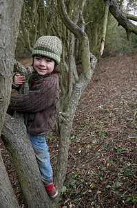 小男孩爬在树枝上图片