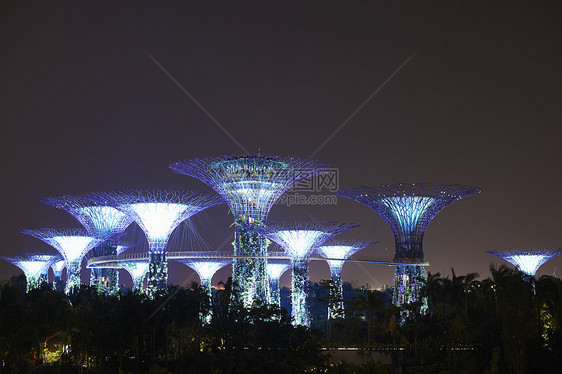 新加坡夜间海湾花园中的超级树树林图片