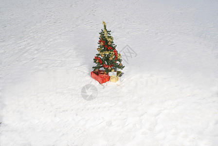 圣诞树和雪景礼物图片