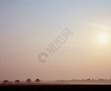 晨雾中的田野图片