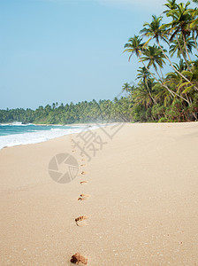 斯里兰卡坦格尔海滩沙滩上的脚印背景图片