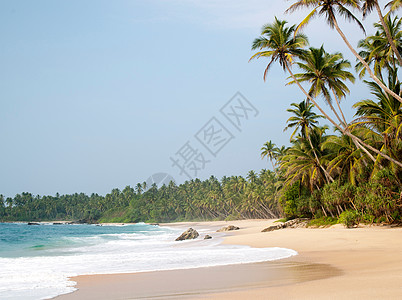 斯里兰卡Tangalle的沙滩和海岸线图片
