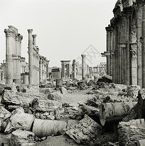 叙利亚帕尔米拉古城遗址图片