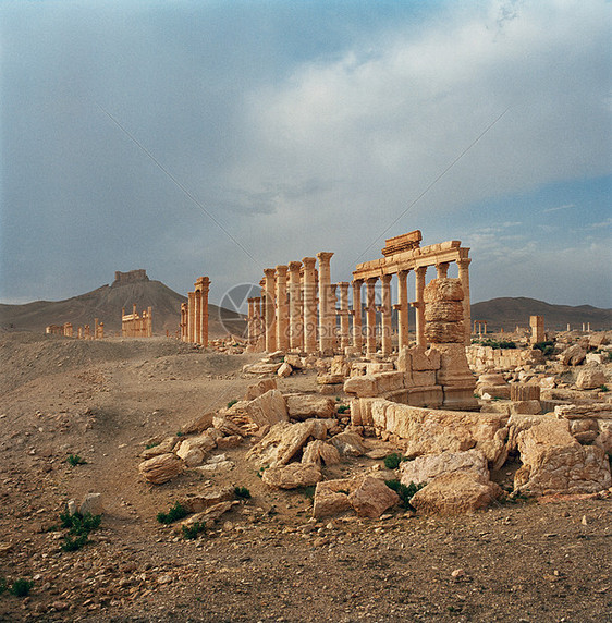 叙利亚帕尔米拉古城的罗马遗迹图片