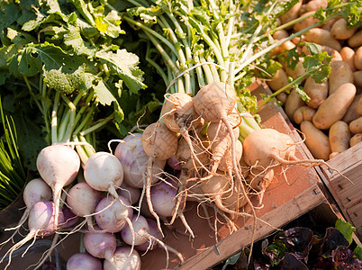 法国市场的新鲜蔬菜图片