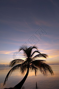 加勒比海热带海滩日出图片