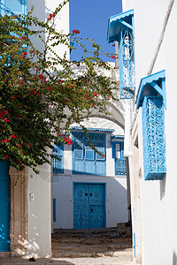 突尼斯西迪布塞街上蓝白相间的房子图片