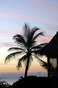 加勒比海热带海滩日出图片