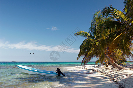 停泊在加勒比海的摩托艇图片