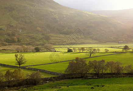 英国北威尔士斯诺多尼亚国家公园的乡村农田和乡村图片