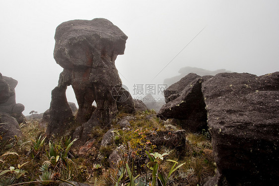 在委内瑞拉一座巨大的平顶山罗雷马山顶上，云雾中形成了奇异的岩层图片