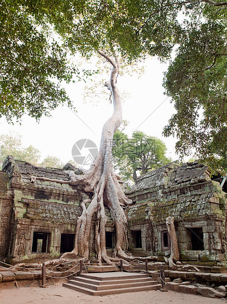 柬埔寨暹粒省吴哥窟塔普罗姆神庙图片