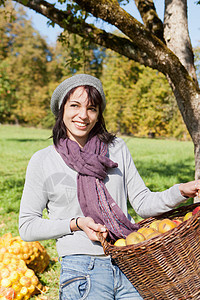 在果园摘苹果的女人图片