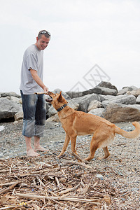在洛基海滩和狗玩耍的男人图片