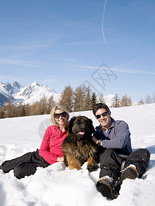 女人和男人在雪地里和大狗在一起图片