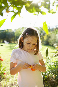 田野里吃水果的小女孩图片
