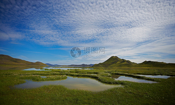 乡村景观中的草沼泽图片