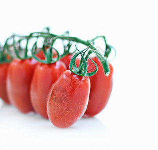 葡萄藤上番茄的特写镜头背景图片