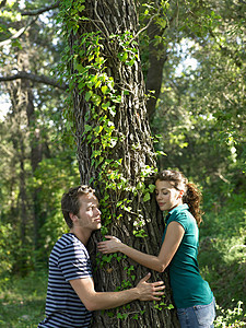 抱着一对夫妇的树图片