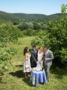 新婚夫妇在花园里切蛋糕背景图片