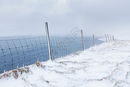 白雪皑皑的乡村景观中的栅栏图片