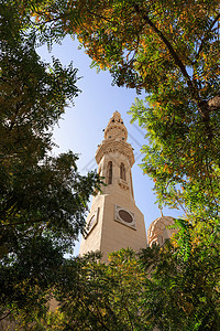 阿拉伯联合酋长国迪拜，穿过树木的清真寺尖塔图片