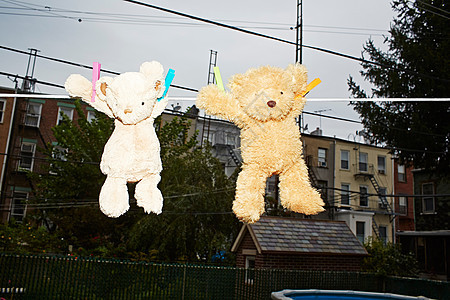 两个泰迪熊挂在晾衣绳上图片