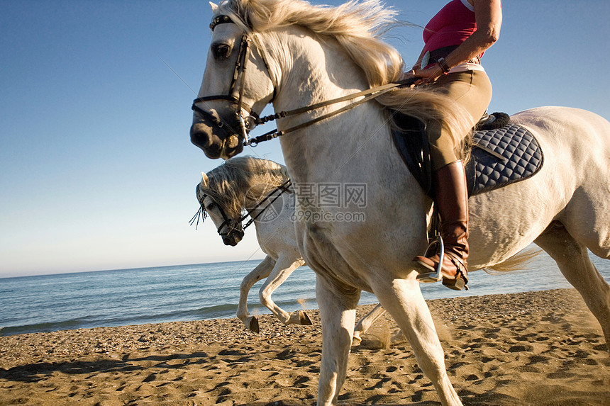 两个女人在海滩上骑马图片