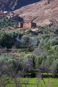 摩洛哥阿特拉斯山山村和清真寺视图图片