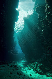 阳光下的水下洞穴图片