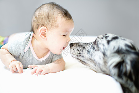 女婴与宠物狗面对面图片