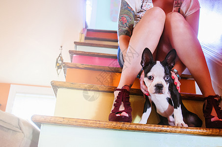 年轻女子和狗坐在彩色楼梯上的图片