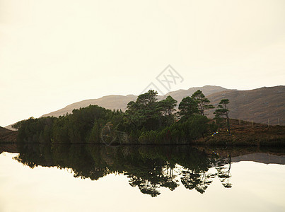 平静的湖和树木图片