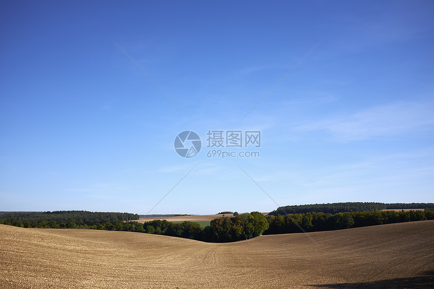 成熟麦田景色图片