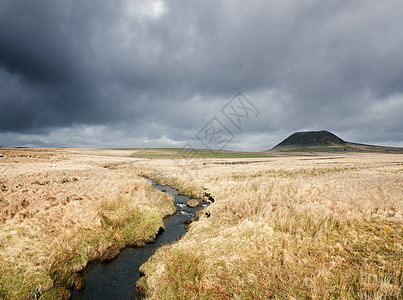 英国北爱尔兰安特里姆县沼泽和斯莱米什山景观图片