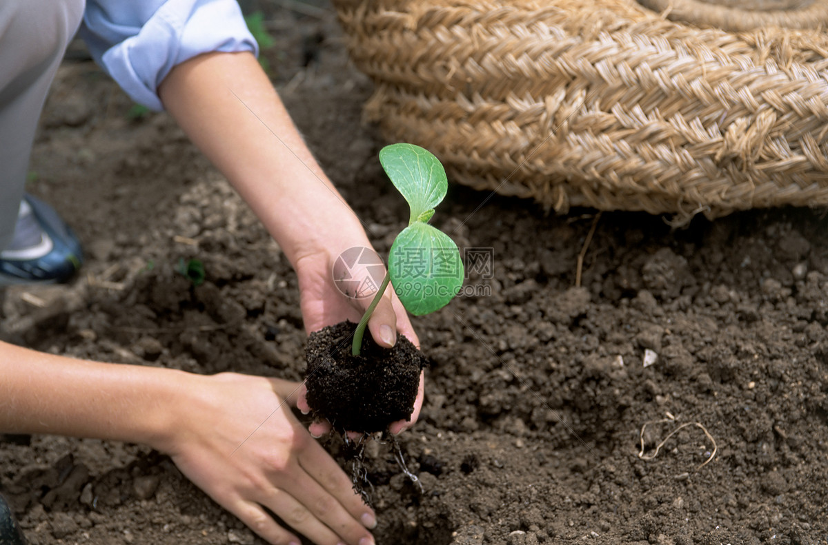富顺县国有林场当选国家种苗基地试点