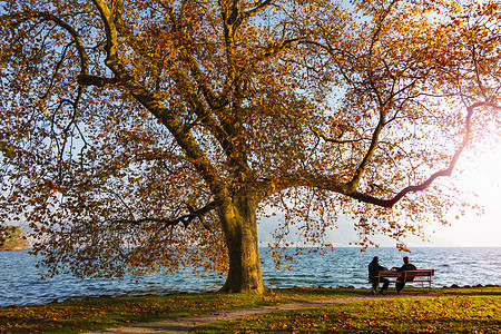 两名游客坐在阳光普照的祖格湖秋天，祖格的坎顿，瑞士图片