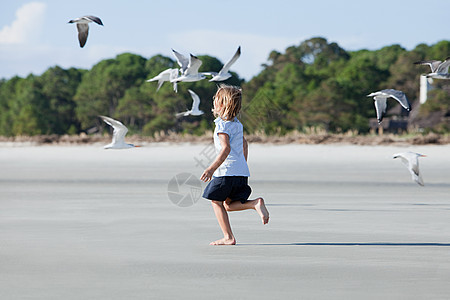 在海鸥中间的海滩上奔跑的女孩图片