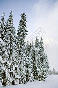 水晶山滑雪场图片
